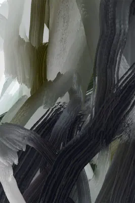 10. Feb 2021 6:25  "graysurreal"